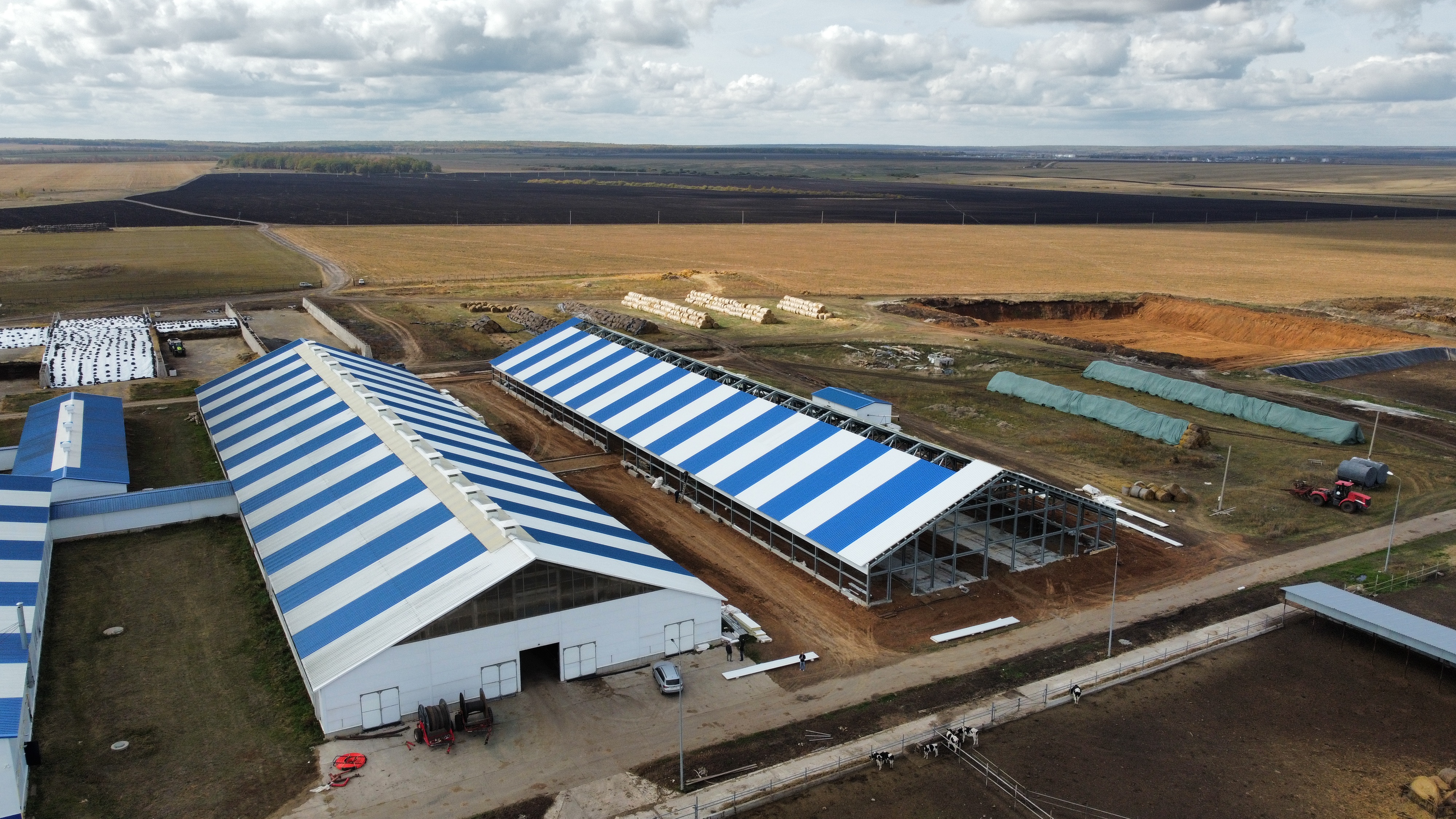 Коровник, Казань